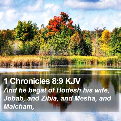 1 Chronicles 8:9 KJV Bible Verse Image