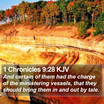 1 Chronicles 9:28 KJV Bible Verse Image