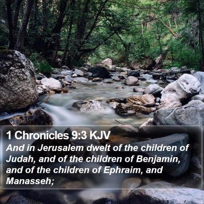1 Chronicles 9:3 KJV Bible Verse Image