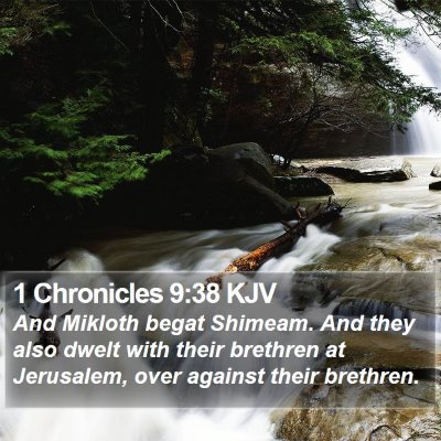 1 Chronicles 9:38 KJV Bible Verse Image