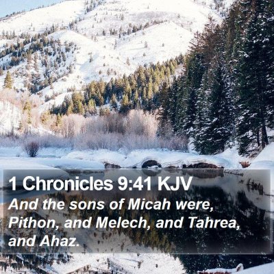 1 Chronicles 9:41 KJV Bible Verse Image