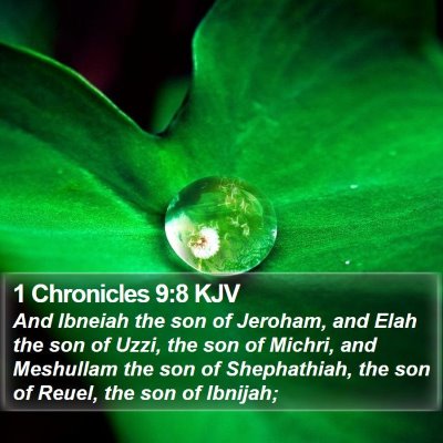 1 Chronicles 9:8 KJV Bible Verse Image