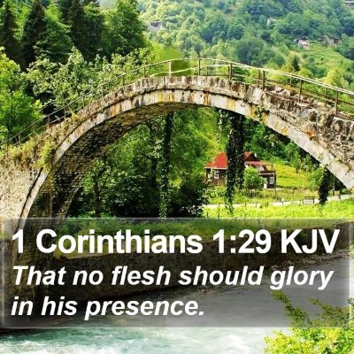 1 Corinthians 1:29 KJV Bible Verse Image