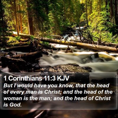 1 Corinthians 11:3 KJV Bible Verse Image
