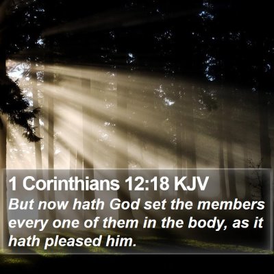 1 Corinthians 12:18 KJV Bible Verse Image