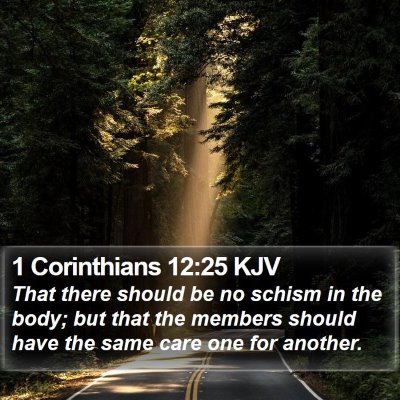 1 Corinthians 12:25 KJV Bible Verse Image