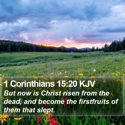 1 Corinthians 15:20 KJV Bible Verse Image