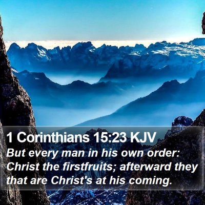 1 Corinthians 15:23 KJV Bible Verse Image