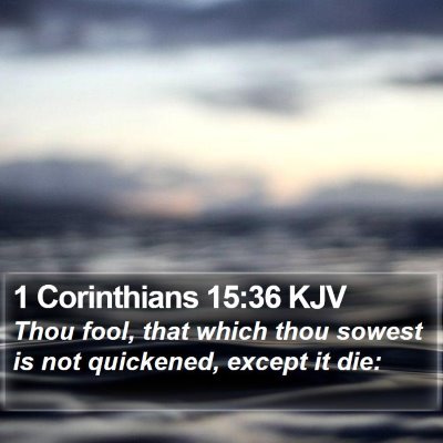 1 Corinthians 15:36 KJV Bible Verse Image