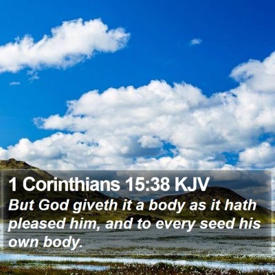 1 Corinthians 15:38 KJV Bible Verse Image