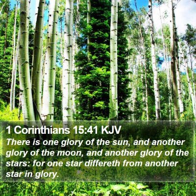 1 Corinthians 15:41 KJV Bible Verse Image