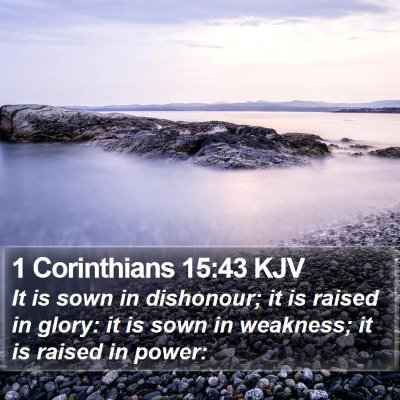 1 Corinthians 15:43 KJV Bible Verse Image