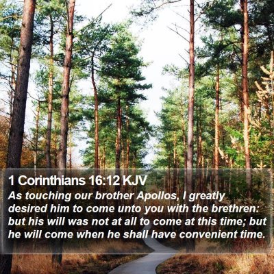 1 Corinthians 16:12 KJV Bible Verse Image