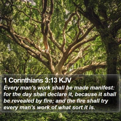 1 Corinthians 3:13 KJV Bible Verse Image