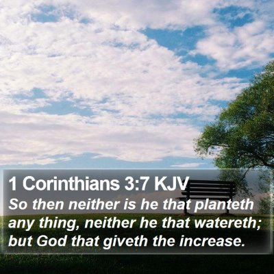 1 Corinthians 3:7 KJV Bible Verse Image