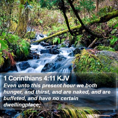 1 Corinthians 4:11 KJV Bible Verse Image