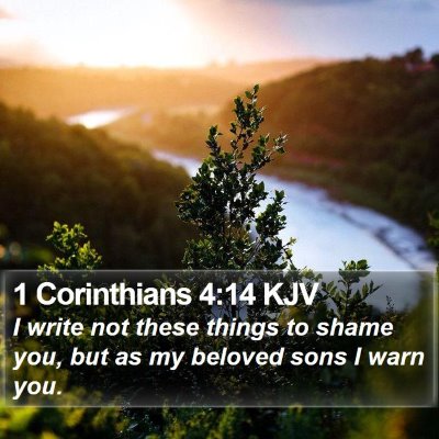 1 Corinthians 4:14 KJV Bible Verse Image