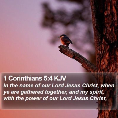 1 Corinthians 5:4 KJV Bible Verse Image
