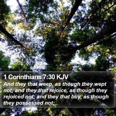1 Corinthians 7:30 KJV Bible Verse Image