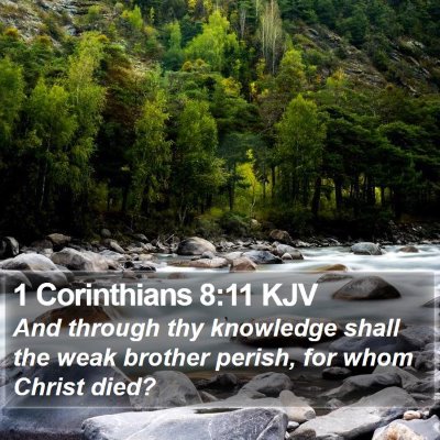 1 Corinthians 8:11 KJV Bible Verse Image