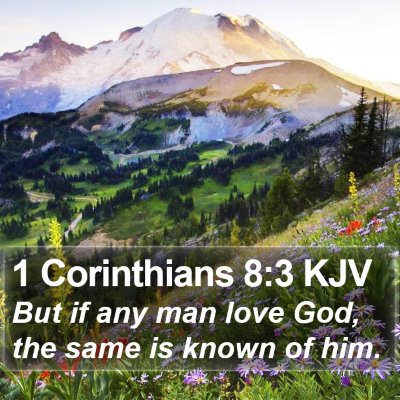 1 Corinthians 8:3 KJV Bible Verse Image