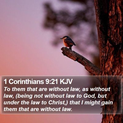 1 Corinthians 9:21 KJV Bible Verse Image