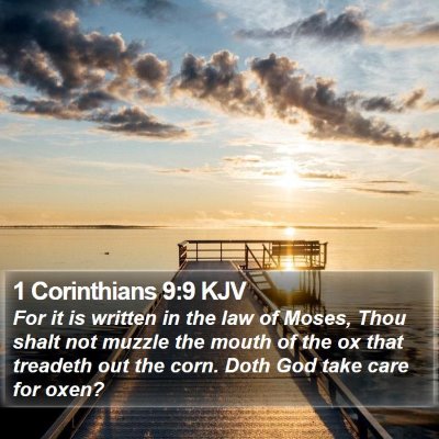 1 Corinthians 9:9 KJV Bible Verse Image