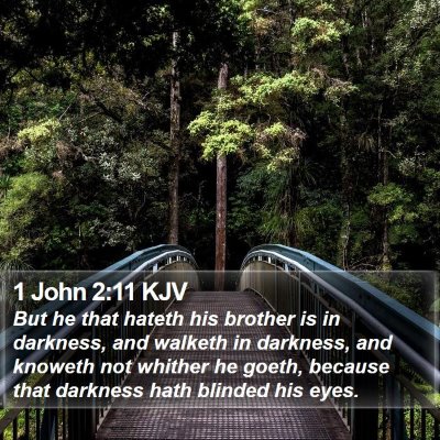 1 John 2:11 KJV Bible Verse Image