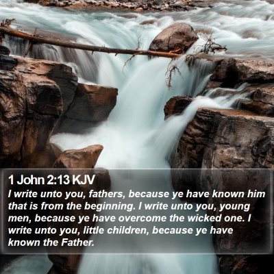 1 John 2:13 KJV Bible Verse Image