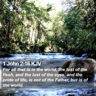 1 John 2:16 KJV Bible Verse Image
