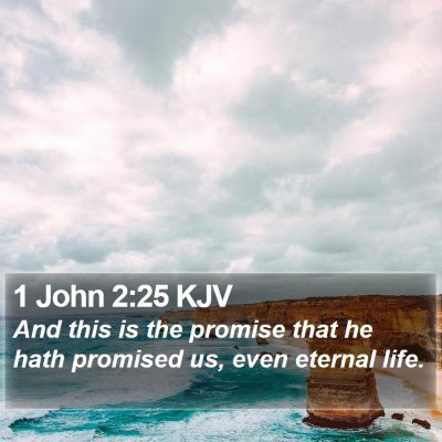 1 John 2:25 KJV Bible Verse Image