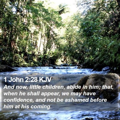 1 John 2:28 KJV Bible Verse Image