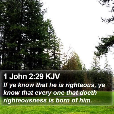 1 John 2:29 KJV Bible Verse Image