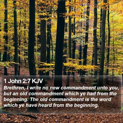 1 John 2:7 KJV Bible Verse Image