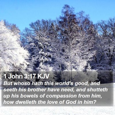 1 John 3:17 KJV Bible Verse Image