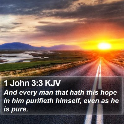 1 John 3:3 KJV Bible Verse Image