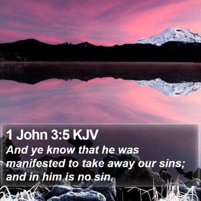 1 John 3:5 KJV Bible Verse Image