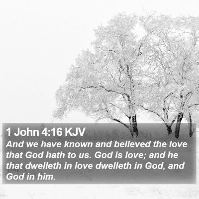 1 John 4:16 KJV Bible Verse Image