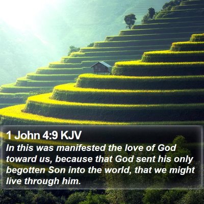 1 John 4:9 KJV Bible Verse Image