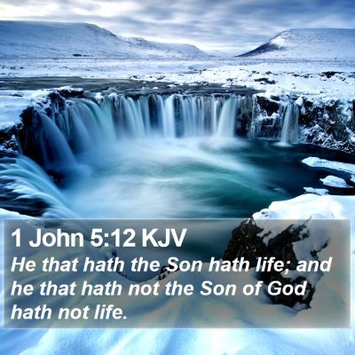 1 John 5:12 KJV Bible Verse Image
