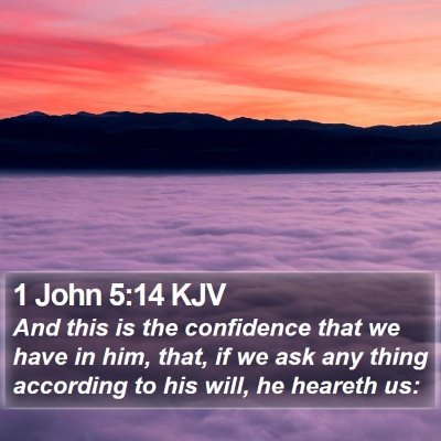 1 John 5:14 KJV Bible Verse Image
