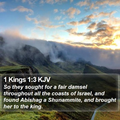 1 Kings 1:3 KJV Bible Verse Image