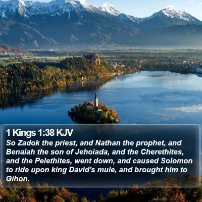 1 Kings 1:38 KJV Bible Verse Image