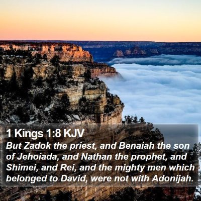 1 Kings 1:8 KJV Bible Verse Image
