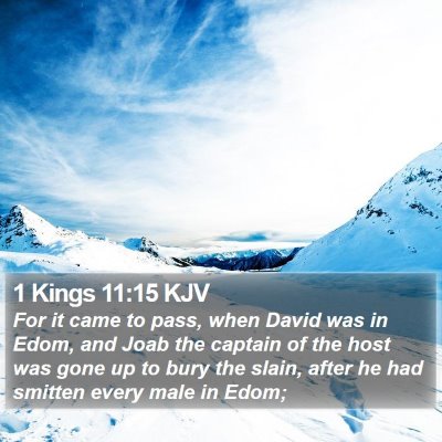 1 Kings 11:15 KJV Bible Verse Image