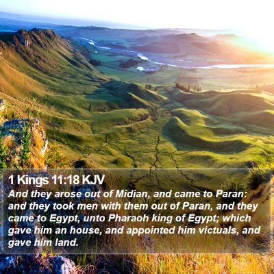1 Kings 11:18 KJV Bible Verse Image