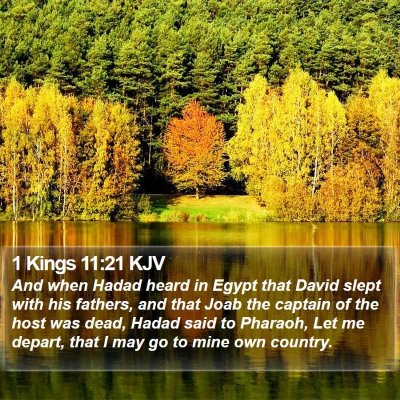 1 Kings 11:21 KJV Bible Verse Image