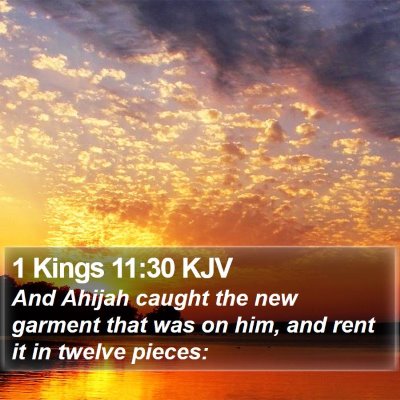 1 Kings 11:30 KJV Bible Verse Image