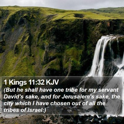 1 Kings 11:32 KJV Bible Verse Image
