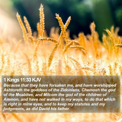 1 Kings 11:33 KJV Bible Verse Image